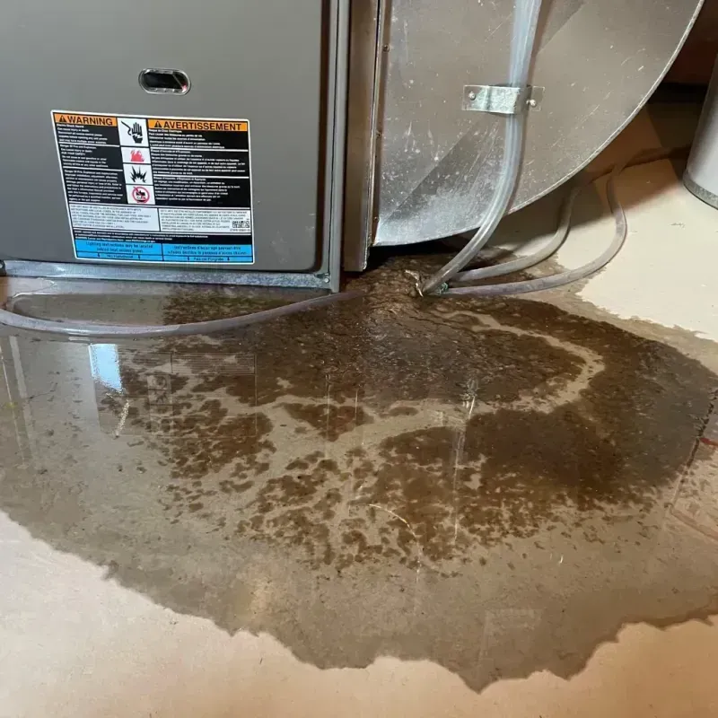 Appliance Leak Cleanup in Dallas Center, IA